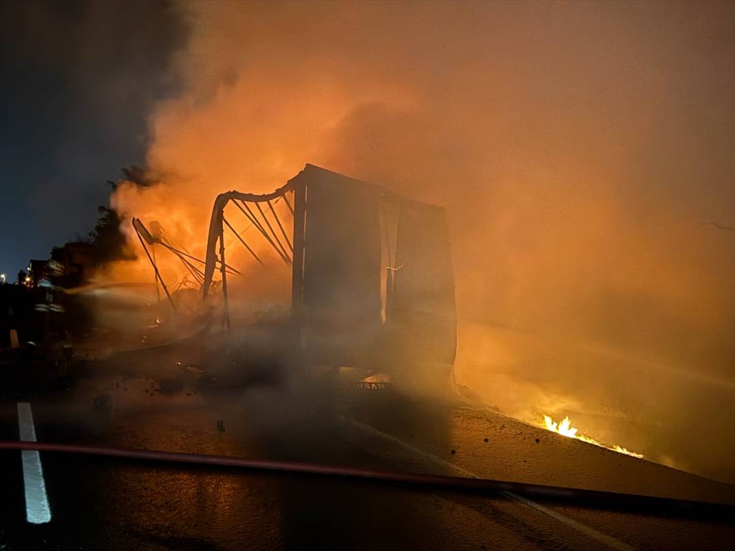 TIR yandı, alevler ağaçlara sıçradı 3